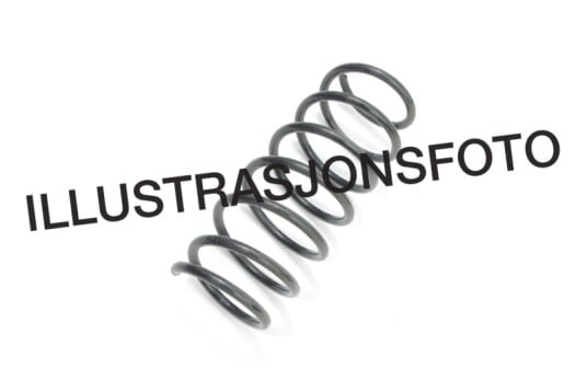Zf Spiralfjær fram Sachs 993938