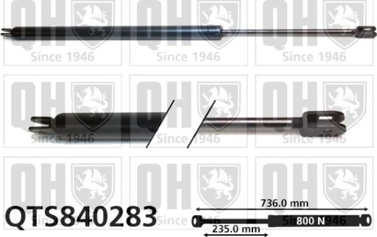 QUINTON HAZELL QTS840283 Baklukedemper
