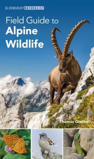 Field Guide To Alpine Wildlife Av Thomas Gretler Field Guide To Alpine Wildlife Av Thomas Gretler