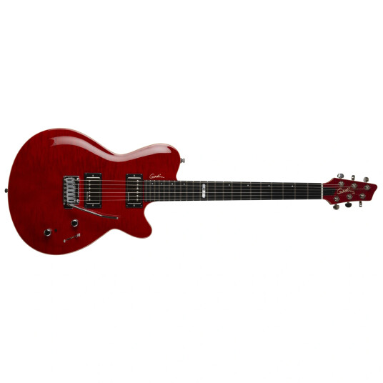 Godin Ds-1 Daryl Stuermer Signature W/bag