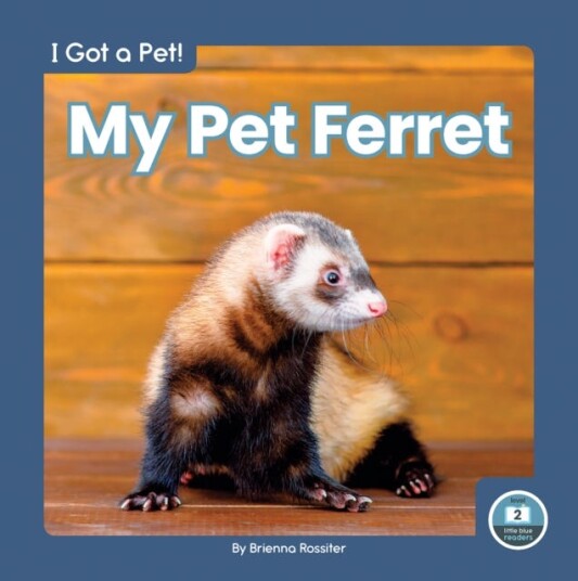 I Got A Pet! My Pet Ferret Av Brienna Rossiter