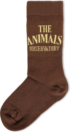 THE ANIMALS OBSERVATORY Snail Kid Socks   Brown   31/34