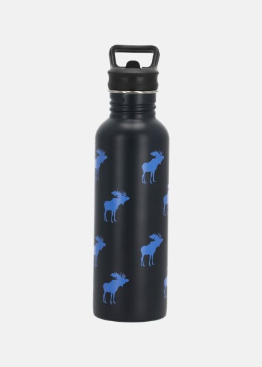 Swedemount Forest Drink Bottle 750