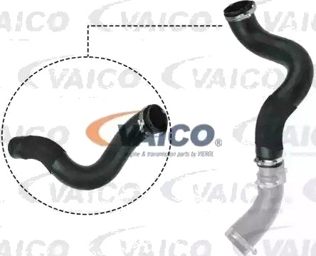 VAICO V25 1047 Ladeluftslange