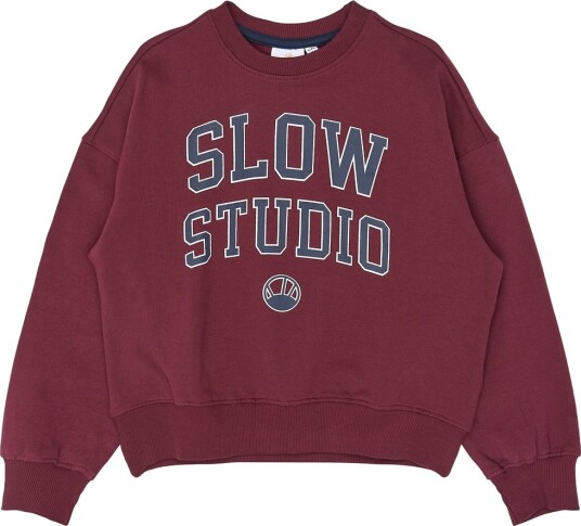 The New Collegegenser TnValerie Burgundy The New 5 6 år (110 116) Collegegenser Bordeaux