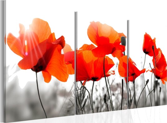 Bilde Charming Poppies 120x60 Artgeist sp. z o. o.