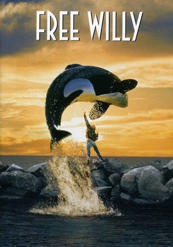 Free Willy DVD Free Willy DVD