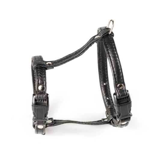 Feel Leather Meow Kattsele I Läder (M) Feel Leather Meow Kattsele I Läder (M)