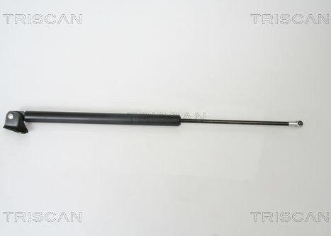 TRISCAN 8710 50240 Baklukedemper