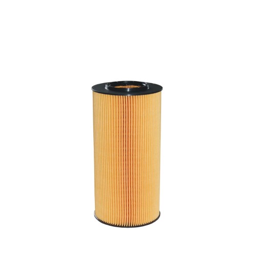 Oljefilter FILTRON OE 676/2