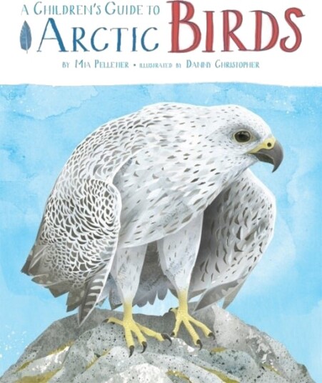 A Children's Guide to Arctic Birds A Children's Guide to Arctic Birds