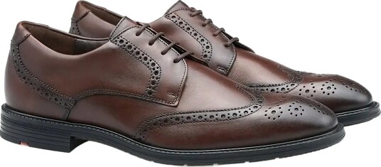 Lloyd X Motion 140 Brown 41