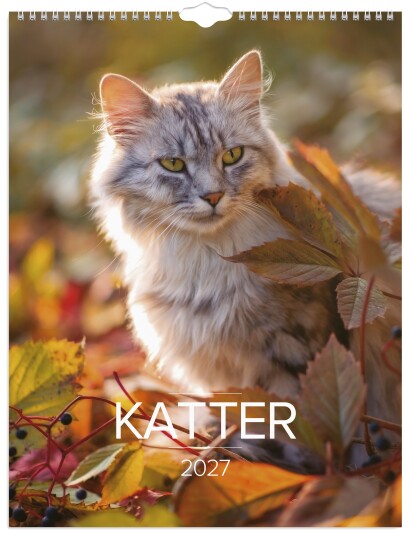 Veggkalender GRIEG 2027 Katter
