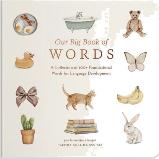 Our Big Book of First Words