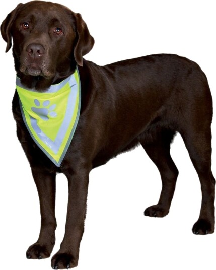 Trixie Refleksiv Bandana til hund XS-S 22-28 cm
