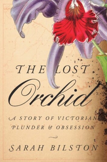 The Lost Orchid  A Story of Victorian Plunder and Obsession