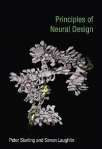 Principles Of Neural Design Av Peter Sterling, Simon (Professor Of Neurobiology University Of Cambridge) Laughlin