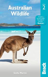 Australian Wildlife Av Stella Martin