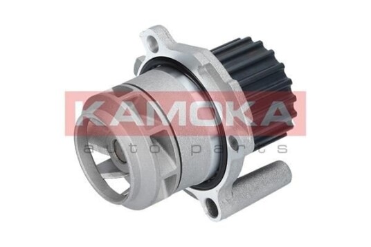 KAMOKA T0251 Vannpumpe