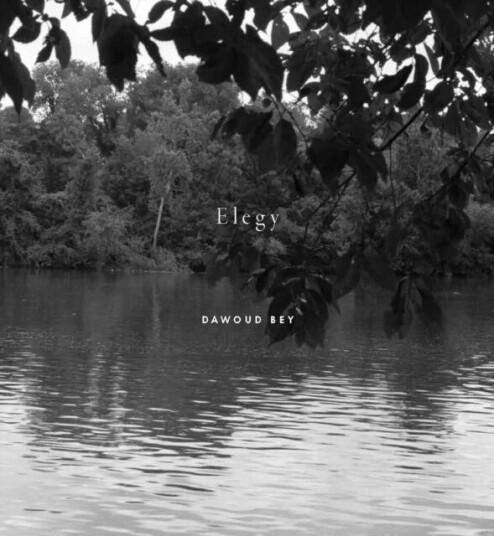 Dawoud Bey: Elegy Av Valerie Cassel Oliver