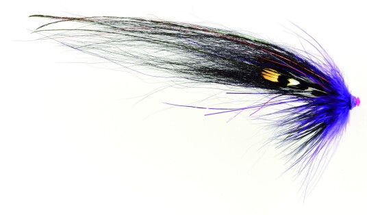 Frodin Flies Ttt Nobody Series Mikkeli