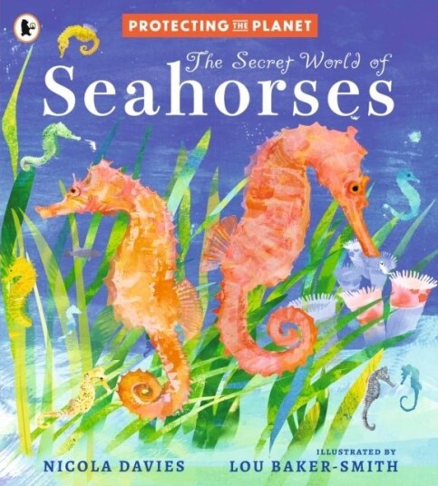 Protecting the Planet: The Secret World of Seahorses