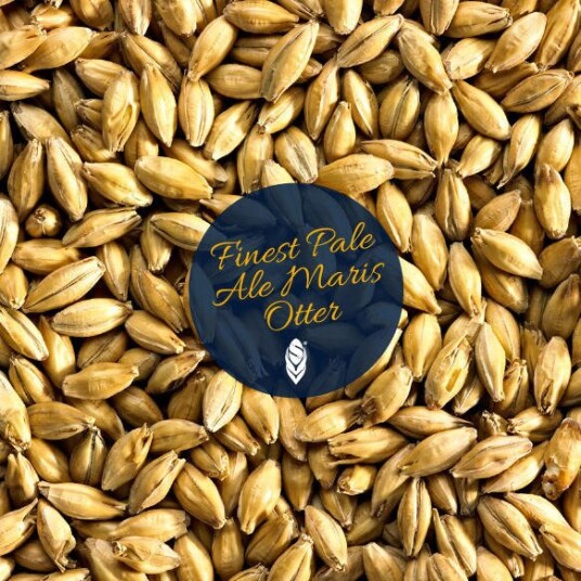 Finest Maris Otter 1 kg Hel 4-6 EBC Simpsons Malt