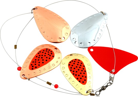 iFish Rogen DOT OneSize iFish Rogen DOT OneSize