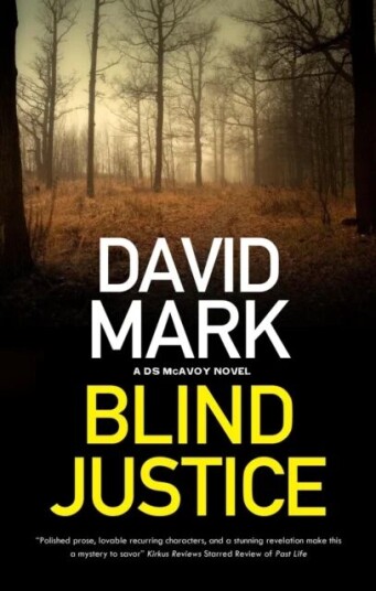 Blind Justice Av David Mark