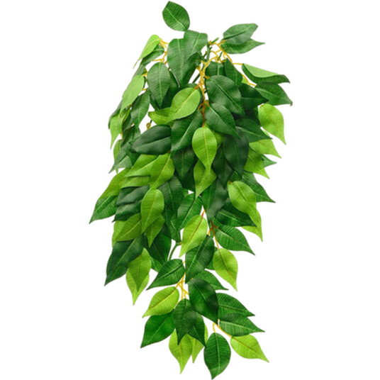 Ficus (Silke) Hengende Regnskog/Jungelplanter Grønn Liten