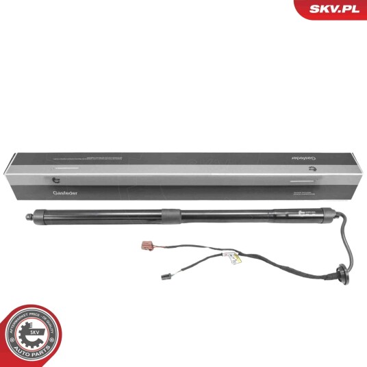 Elektromotor bakluke ESEN SKV 52SKV284