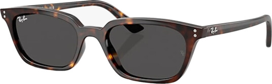 Ray-Ban 0RB4456 Grå ONE SIZE