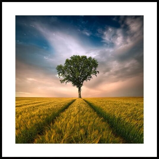 One Poster Plakat / 40x40cm