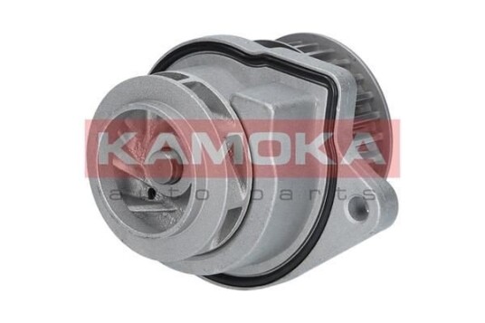 KAMOKA T0248 Vannpumpe