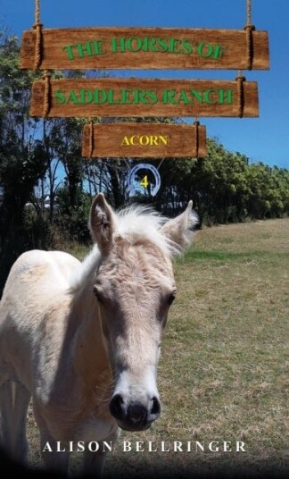 The Horses of Saddlers Ranch: Acorn The Horses of Saddlers Ranch: Acorn