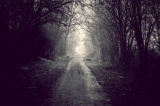 Foggy path av Henrik Hansen Foggy path av Henrik Hansen