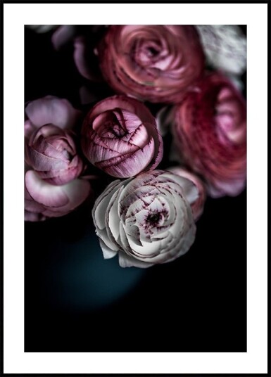 Dark Flowers 2 Plakat / 100x150cm Dark Flowers 2 Plakat / 100x150cm