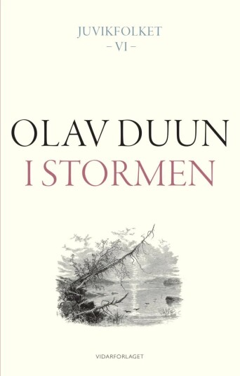 I stormen av Olav Duun