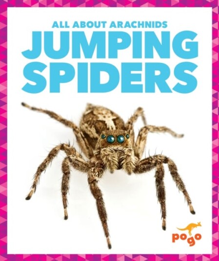 Jumping Spiders Jumping Spiders