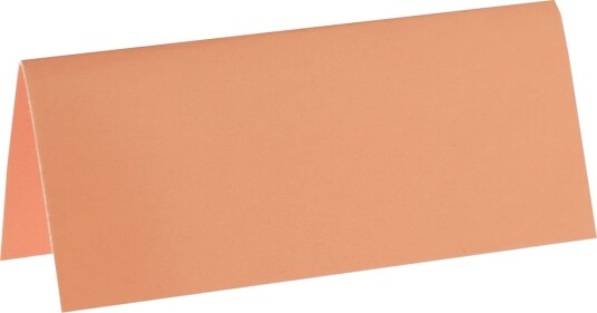 10 stk Korallfargede Bordkort