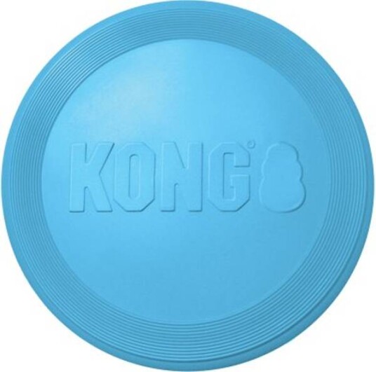 Kong Puppy Frisbee