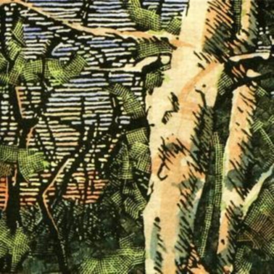 Anomoanon Asleep Many Years In The Wood CD