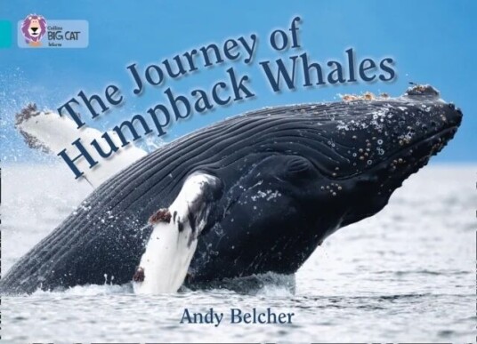 The Journey Of Humpback Whales Av Andy Belcher