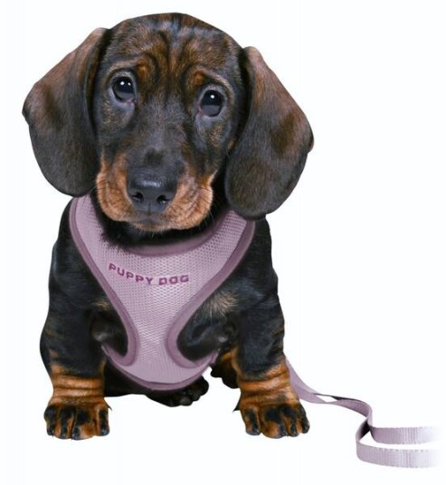 Trixie Valpesele med Koppel Lys Lilla 26-34 cm