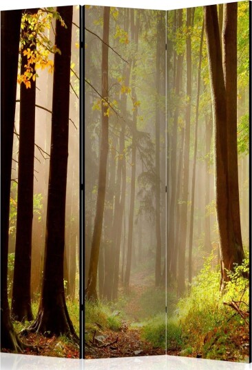 Romdeler - Mysterious Forest path 135x172 - Artgeist sp. z o. o.