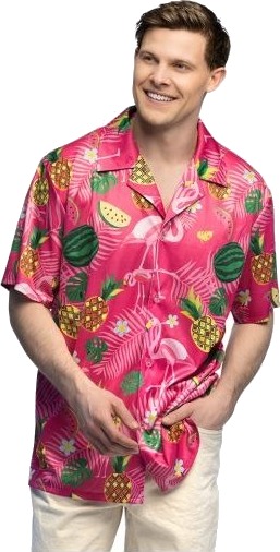 Boland Flamingo Sommer Skjorte Boland Flamingo Sommer Skjorte
