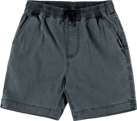 Quiksilver ShortSkatter Grå Quiksilver 12 år 152 Shorts