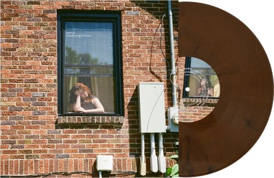 Gayle Observing Chaos Limited Edition Vinyl Brown