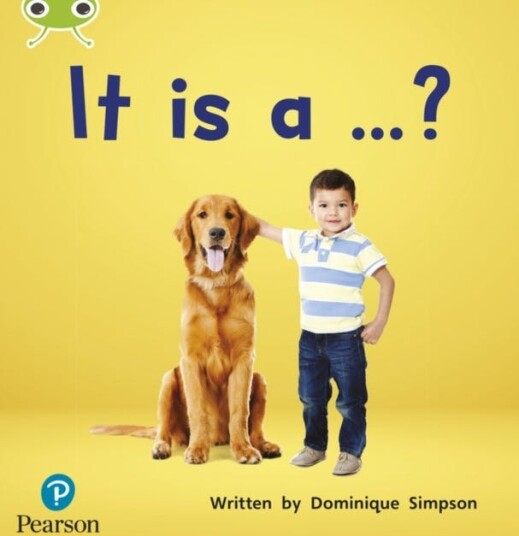 Bug Club Phonics  Phase 2 Unit 3: It is a ...?