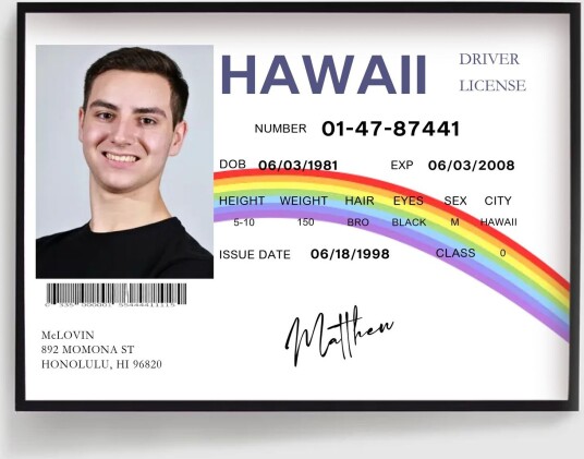 Personalisert Plakat McLovin Parodi ID